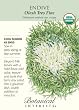 Endive Seeds Certified Organic 175 Seeds