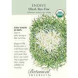 Endive Seeds Certified Organic 175 Seeds