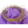 Crown Of Thorns: Life Size Authentic Crown (11-12" in diameter)