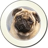 FAWN PUG DOG Tax Disc Holder