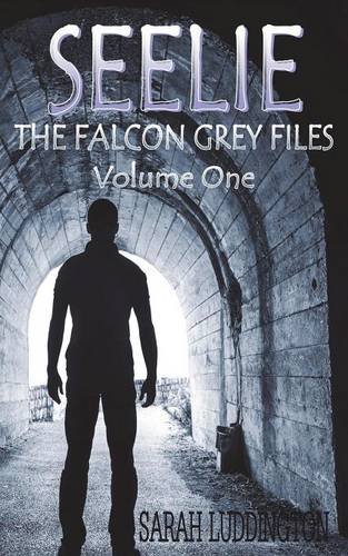seelie the falcon grey files volume one