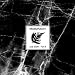 Mostly Autumn-Live 2009 Vol. 2