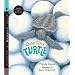 One Tiny Turtle with Audio: Read, Listen, & Wonder