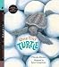 One Tiny Turtle Audio: Read, Listen, & Wonder