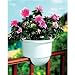 Apollo Plastics D2X4WHITE Round Deck Planter, White