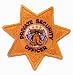 PRIVATE SECURITY OFFICER Guard Uniform GOLD 7 Point Star Patch Emblem Badge Shield Insignia (2 Patches INCLUDED, PAIR !)