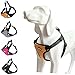 BINGPET No Pull Dog Harness Reflective for Pet Puppy Freedom Walking Medium Orange