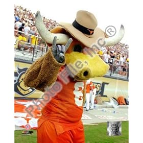  Texas Longhorns Mascot 8x10 Photo