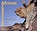 African Acrostics: A Word in Edgeways
