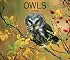 Owls 2008 (Calendar)