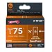 Arrow Fastener 7514S 7/8-Inch T75 Staples (1,000-Pack)