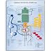 3B Scientific Glossy Paper Human Metabolic Pathways Anatomical Chart