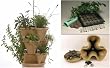 Garden Stacker Planter + Indoor Culinary Herb Garden Kit- Great Gift Idea- Grow Cooking Herbs- Seeds: Parsley, Thyme, Cilantro / Coriander, Basil, Dill, Oregano, Sweet Marjoram, Chives, Savory, Garlic Chives, Mustard & Sage- Includes Stack-A-Pot Stackable Planter