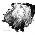 Daniel Menche - Marriage Of Metals Vinyl Record Import 2013