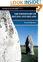 The Prehistory of Britain and Ireland (Cambridge World Archaeology)