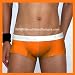 Groovin' Cup Boxer - Orange