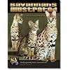 Savannahs Illustrated, The Savannah Cat