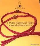 10 Rakhi 5 mukhi rudraksha bead wristband with red thread