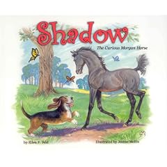 Shadow: The Curious Morgan Horse
