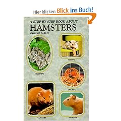 Step-By-Step about Hamsters