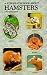 A Step-by-Step Book about Hamsters