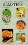 Step by Step Book About Hamsters