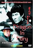 Dragon in Fury