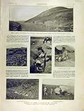 Liao-Yang War Japanese Infantry Military Print 1904