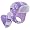 Paisley Purple Rose Print