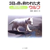 3日の命を救われた犬ウルフ―殺処分の運命からアイドルになった白いハスキー (ドキュメンタル童話・犬シリーズ)