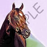 Horse - Quarter Horse - Light Switch Covers - double toggle switch