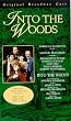 Into the Woods [VHS] [UK Import]