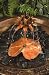 Outdoor Living : Ancient Graffiti Copper Dripper/Fountain Lotus