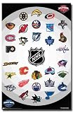 Retail Furnitures item: NHL Logos (2007-08) Sports Poster Print - 24