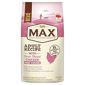 NUTRO MAX Adult Recipe With Farm Raised Chicken Mini Chunk Dry Dog Food 4 Pounds