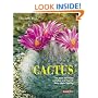 Cactus: The most beautiful varieties and how to keep them healthy
