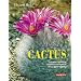 Cactus: The most beautiful varieties and how to keep them healthy