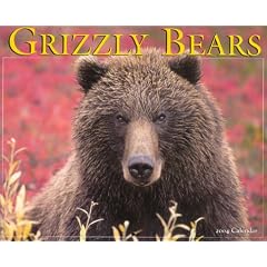 Grizzlies 2004 Calendar