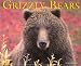 Book Grizzlies 2004 Calendar