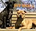 For the Love of American Pit Bull Terriers 2004 Calendar