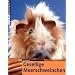 Gesellige Meerschweinchen
