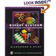 Expert Systems: Principles and Programming, Third Edition: Principles and Programming