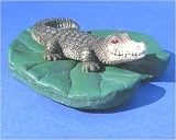 Alligator on Lily Pad