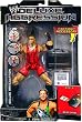 ROB VAN DAM - DELUXE AGGRESSION 5 WWE TOY WRESTLING ACTION FIGURE