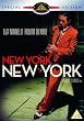 New York New York (Special Edition) [DVD]