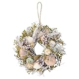 Paseo シェルリース S XS-33S