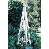 Pyramid Obelisk Trellis