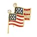 Brass Enamel American Flags Pin with Clear CZ 37x27mm