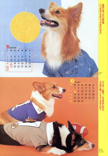 Cover image : コーギースタイル Vol.16 (タツミムック)