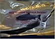 16oz Wild Alder Smoked Sockeye Salmon Pouch